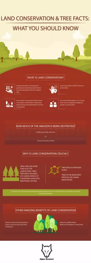 Land Conservation & Tree Facts: What You Should Know