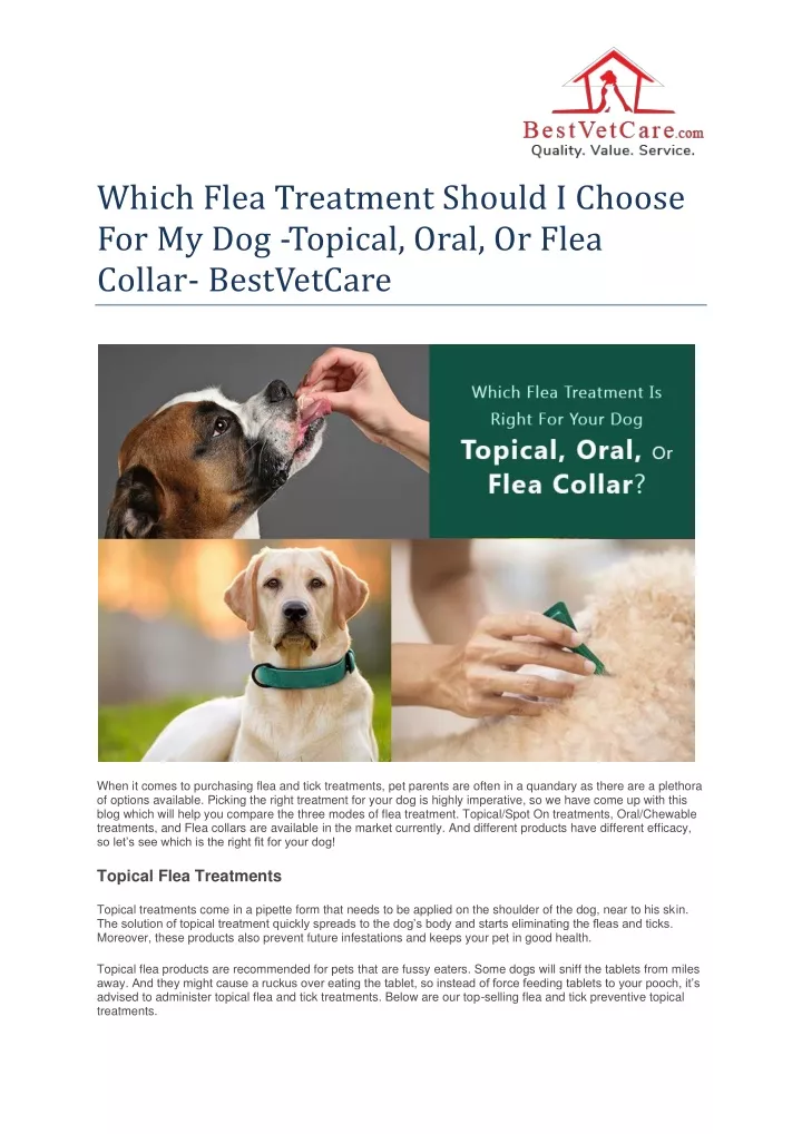which flea treatment should i choose