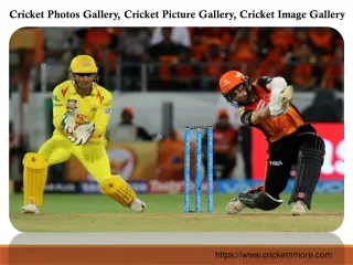 Best Cricket Picture Gallery and Cricket Image Gallery on Cricketnmore