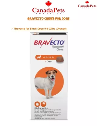 Bravecto for Small Dogs 9.9-22lbs (Orange) - Canadapetssupplies