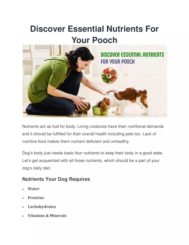 discover essential nutrients for your pooch