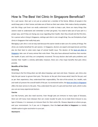 How Is The Best Vet Clinic In Singapore Beneficial?