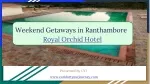 Weekend Getaways in Ranthambore| Royal Orchid Hotel Ranthambore