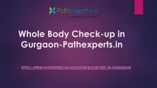 Whole Body Check-up in Gurgaon-Pathexperts.in