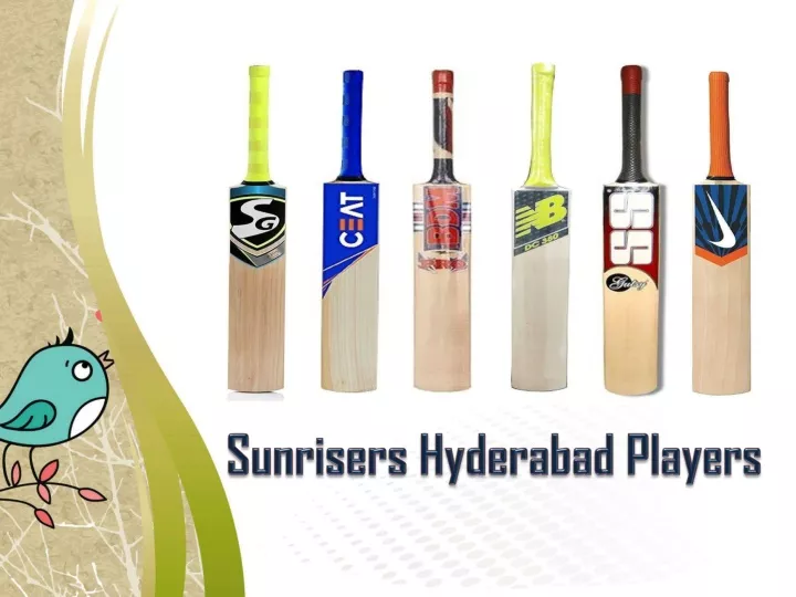 sunrisers hyderabad p layers