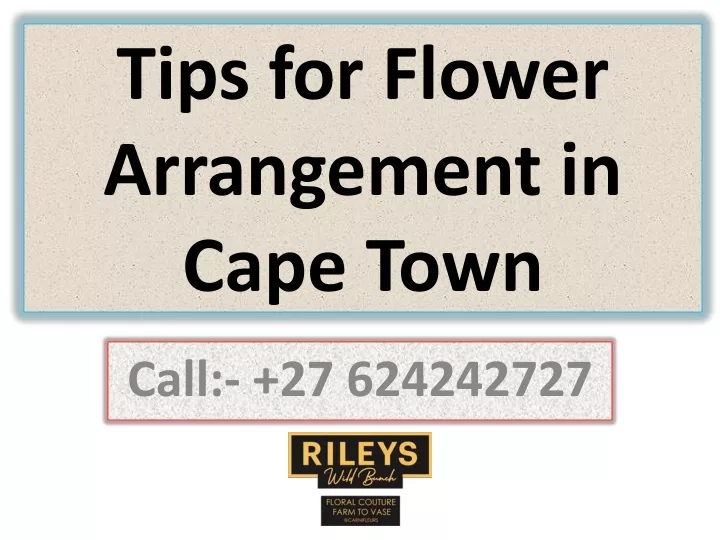 tips for flower arrangement in cape town