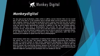 Monkeydigital