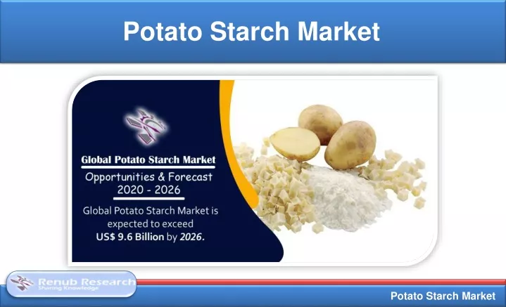 potato starch market