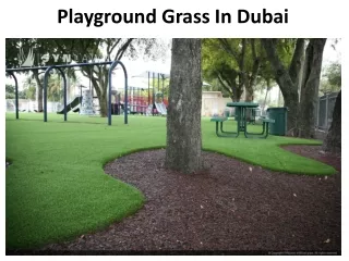 playground grass in dubai