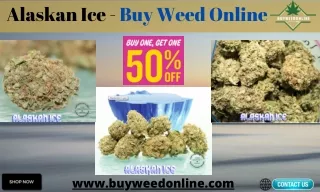 alaskan ice buy weed online