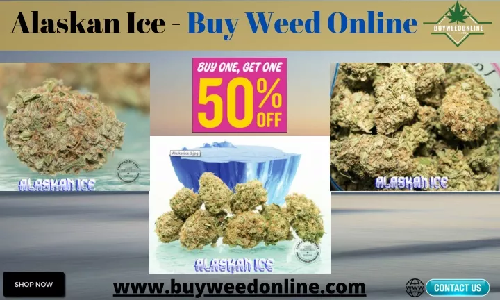 alaskan ice buy weed online