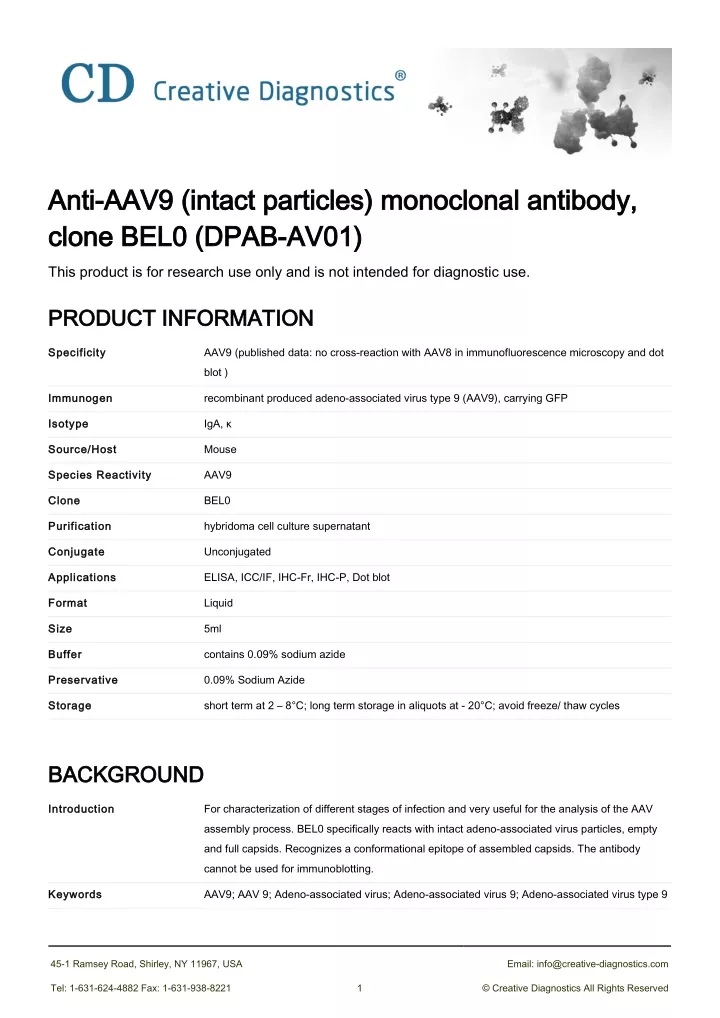 anti aav9 intact particles monoclonal antibody