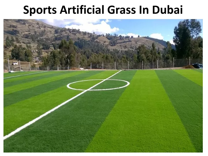 sports artificial grass in dubai