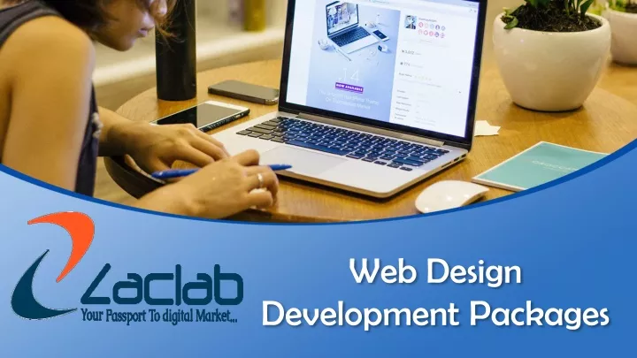 web design development packages