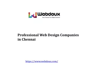 professional web design companies in chennai