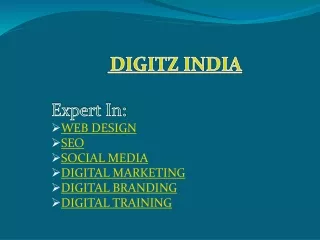 Digitz India : Digital Marketing Company in Trichy | SEO, Social Media and Web Design in Trichy, Tamil Nadu, India