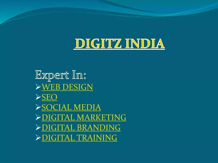 digitz india expert in web design seo social