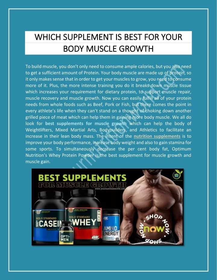 which supplement is which supplement is best