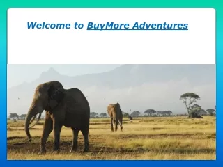 welcome to buymore adventures