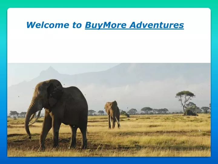 welcome to buymore adventures