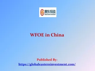 WFOE in China