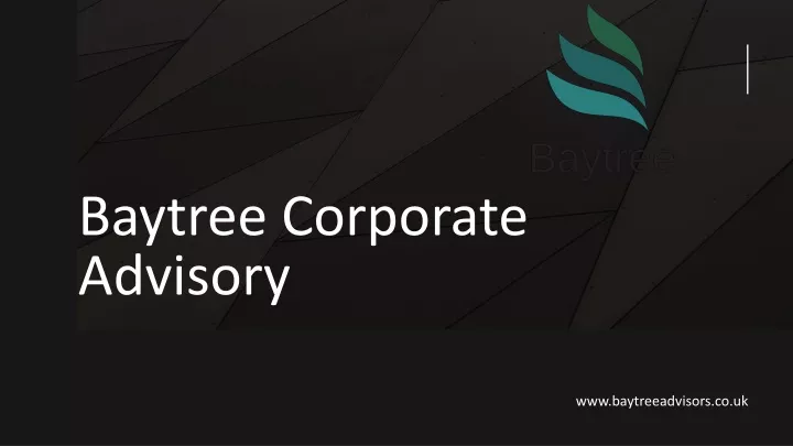baytree corporate advisory
