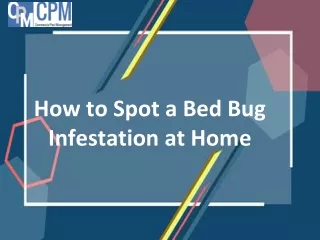 How to Spot a Bed Bug Infestation at Home