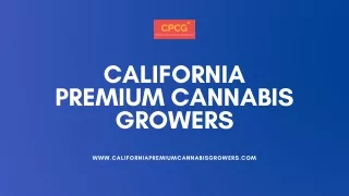 Buy Apple Gelato Online from California Premium Cannabis Growers