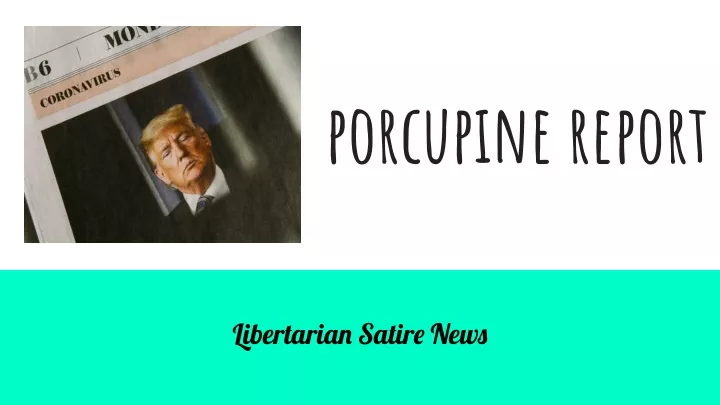 porcupine report