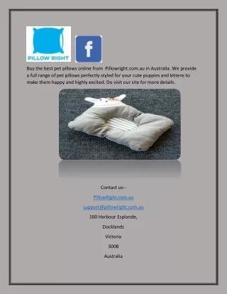 Buy Pet Pillows Online In Australia | Pillowright.com.au