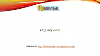 Dog dry nose