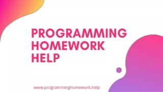 Programming Homework Help