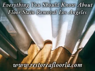 Everything You Should Know About Floor Stain Removal Los Angeles