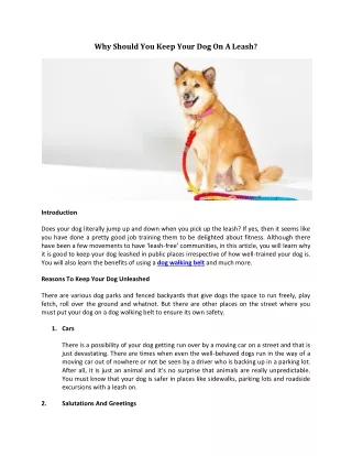 why should you keep your dog on a leash