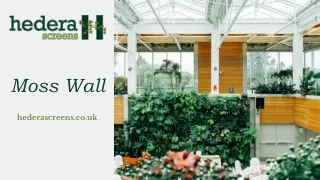 Moss Walls Indoor UK | Moss Green Wall Bathroom, Living Room Interior Ideas