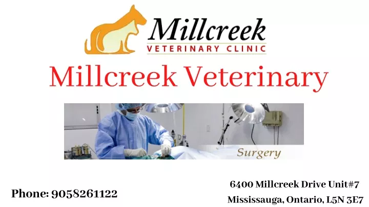 millcreek veterinary