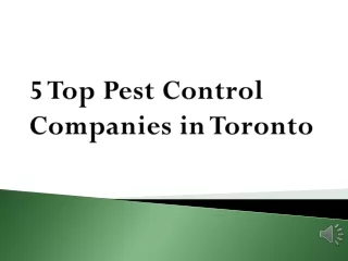 5 Top Pest Control Companies in Toronto