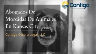 Animal Bite Lawyers In Kansas City