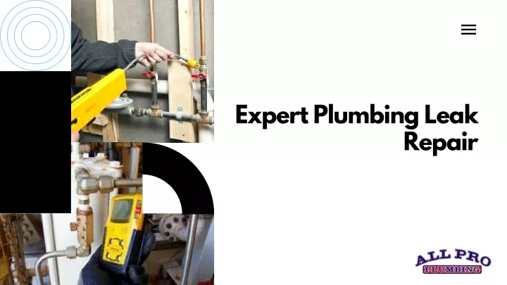 expert plumbing leak