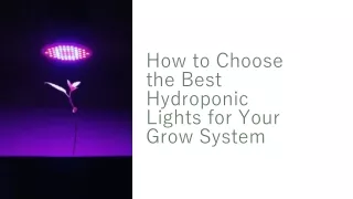 How to choose the best hydroponic lights for your grow system