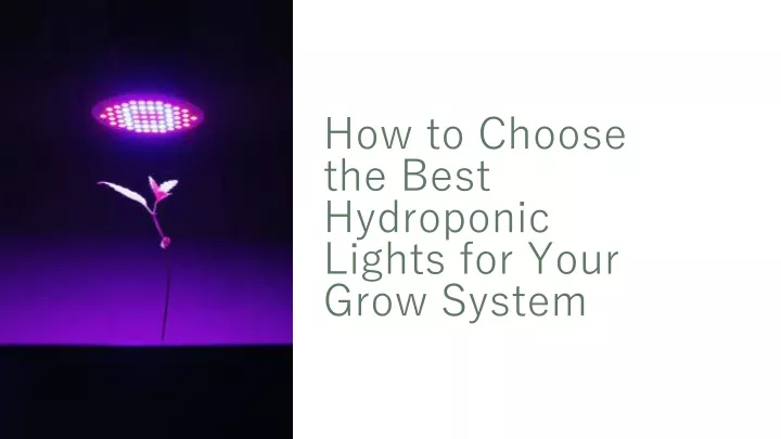 how to choose the best hydroponic lights for your