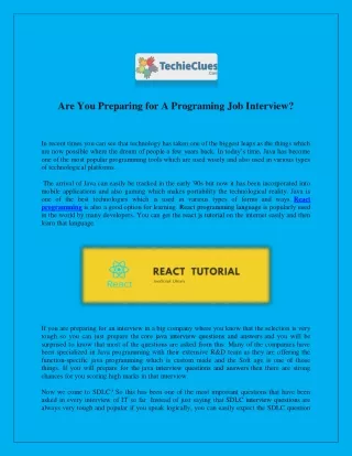 Are You Preparing for A Programing Job Interview?