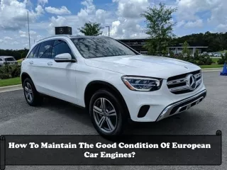how to maintain the good condition of european