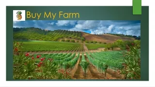 Get Yourself a Productive Investment by Buy My Farm