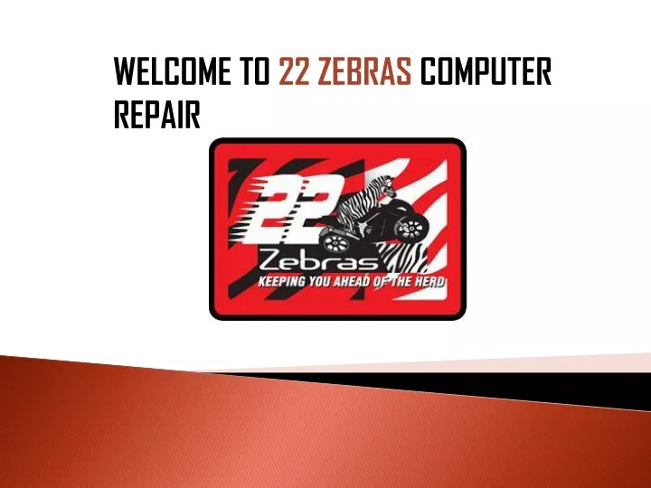 welcome to 22 zebras computer repair