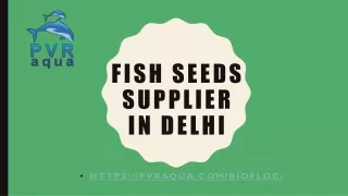 Fish Seeds supplier in Delhi