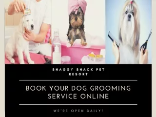 Book Your Dog Grooming Service Online