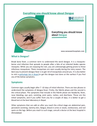 everything you should know about dengue