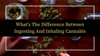 What’s The Difference Between Ingesting And Inhaling Cannabis