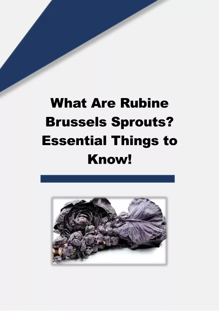 what are rubine brussels sprouts essential things